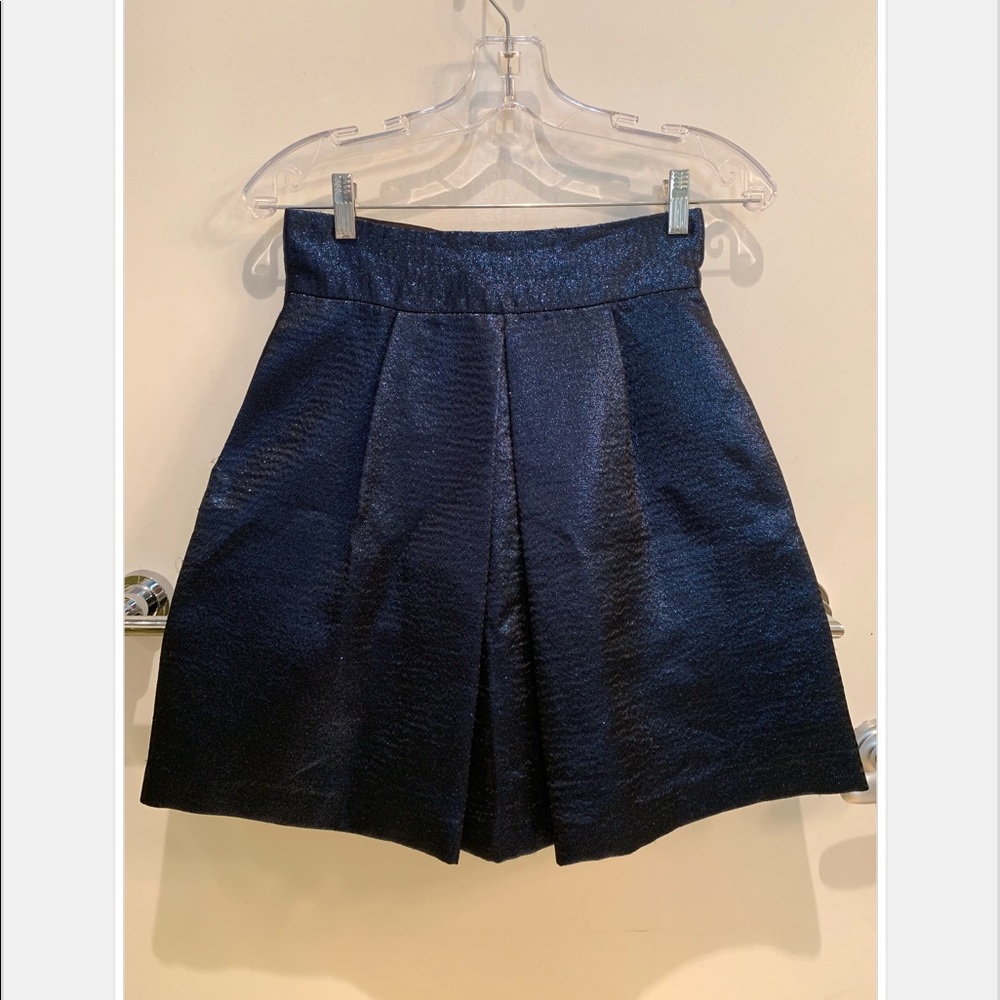 Zara Pleated A-Line Shimmer Skirt